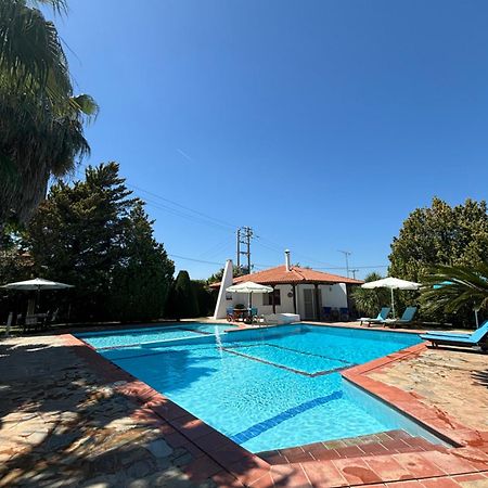 Country House With Pool And Big Garden Oropos Eksteriør billede